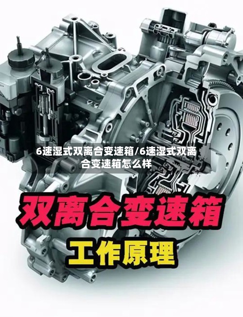 6速湿式双离合变速箱/6速湿式双离合变速箱怎么样