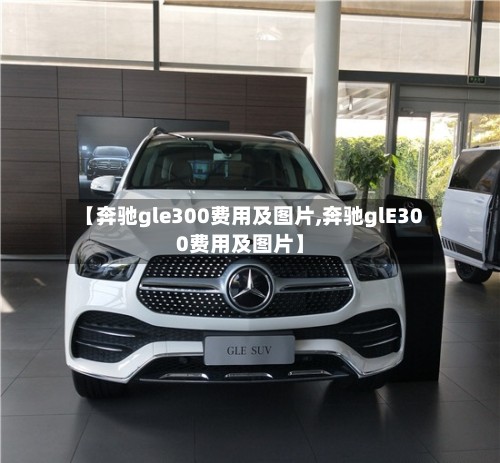 【奔驰gle300费用及图片,奔驰glE300费用及图片】
