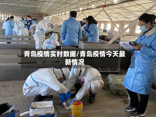 青岛疫情实时数据/青岛疫情今天最新情况
