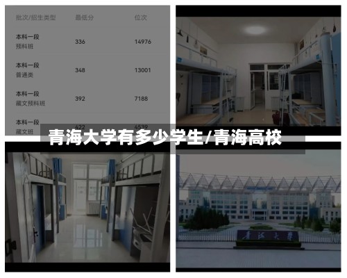 青海大学有多少学生/青海高校-第3张图片