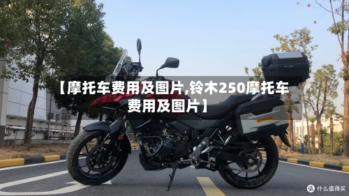 【摩托车费用及图片,铃木250摩托车费用及图片】-第2张图片