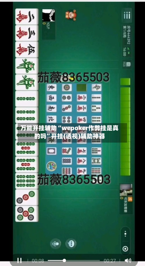 万能开挂辅助“wepoker作弊挂是真的吗”开挂(透视)辅助神器-第2张图片