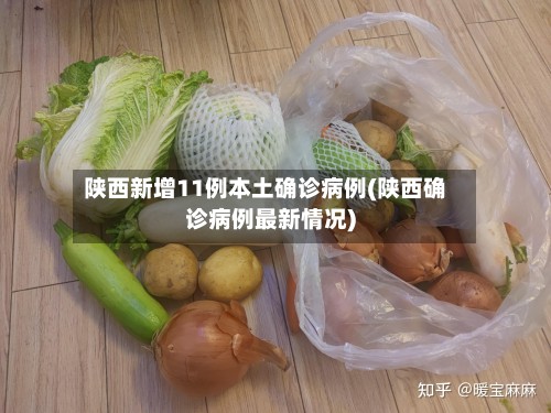 陕西新增11例本土确诊病例(陕西确诊病例最新情况)-第2张图片