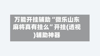 万能开挂辅助“微乐山东麻将真有挂么”开挂(透视)辅助神器-第2张图片