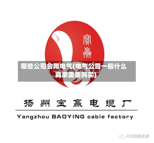 哪些公司会用电气(电气公司一般什么商家需要购买)