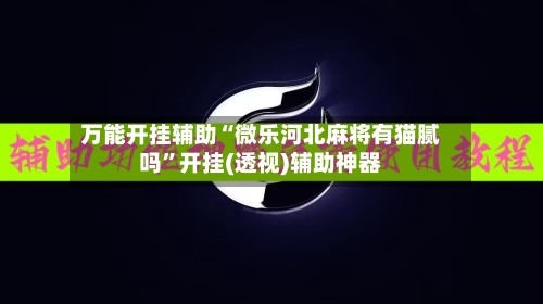 万能开挂辅助“微乐河北麻将有猫腻吗”开挂(透视)辅助神器-第3张图片