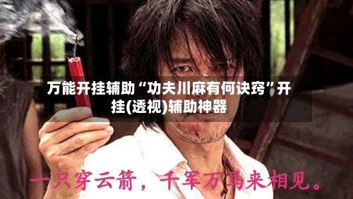 万能开挂辅助“功夫川麻有何诀窍”开挂(透视)辅助神器-第2张图片