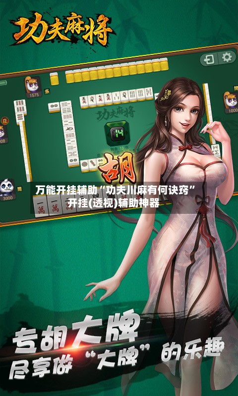 万能开挂辅助“功夫川麻有何诀窍”开挂(透视)辅助神器-第3张图片