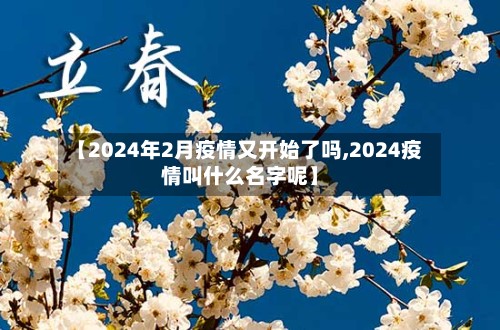 【2024年2月疫情又开始了吗,2024疫情叫什么名字呢】-第3张图片