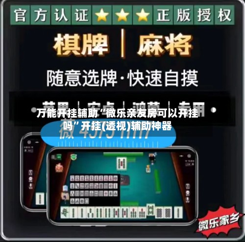 万能开挂辅助“微乐亲友房可以开挂吗	”开挂(透视)辅助神器-第3张图片